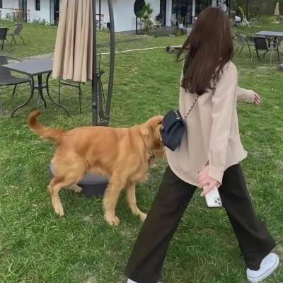 救命解药